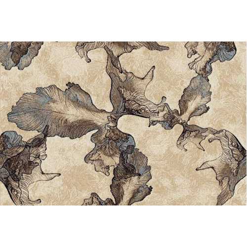 Фото Ковер Merinos Sierra D711, BEIGE-BROWN 1,50*3,00