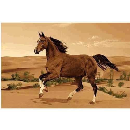 Фото Ковер Merinos Da Vinci z904 Brown 2,00*3,00